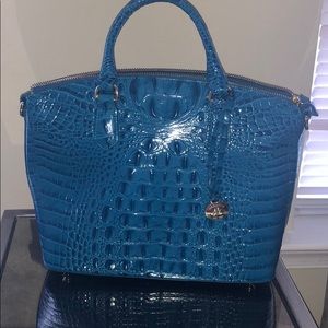 Brahmin in blue